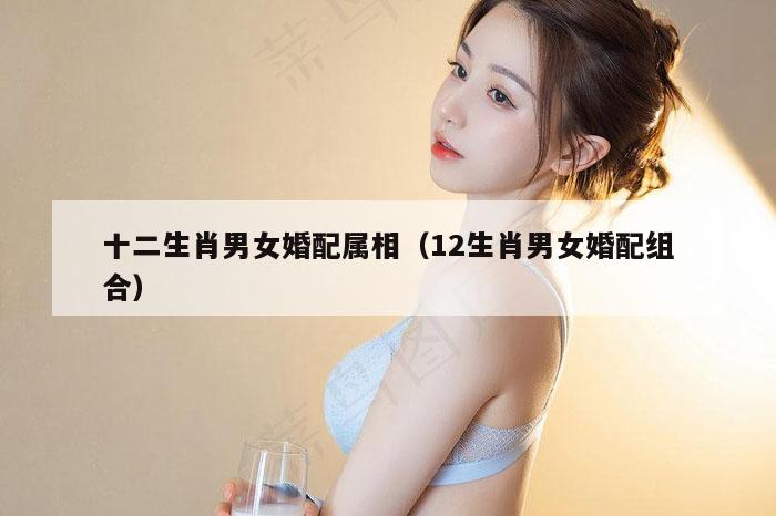 十二生肖男女婚配属相（12生肖男女婚配组合）